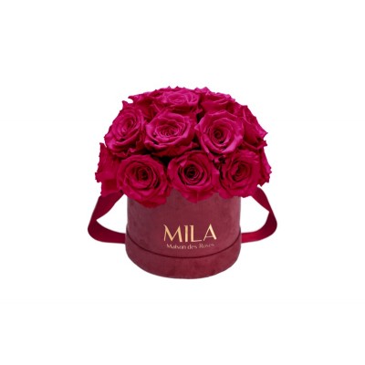 Produit Mila-Roses-01633 Mila Classique Small Dome Burgundy - Fuchsia