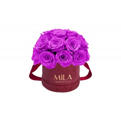 Produit Mila-Roses-01635 Mila Classique Small Dome Burgundy - Violin