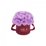  Mila-Roses-01637 Mila Classique Small Dome Burgundy - Lavender
