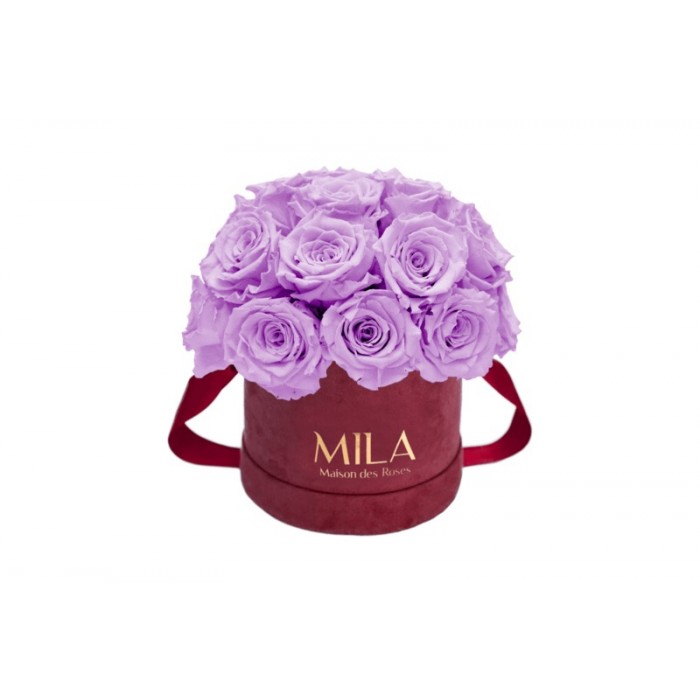 Mila Classique Small Dome Burgundy - Lavender