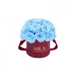  Mila-Roses-01640 Mila Classique Small Dome Burgundy - Baby blue