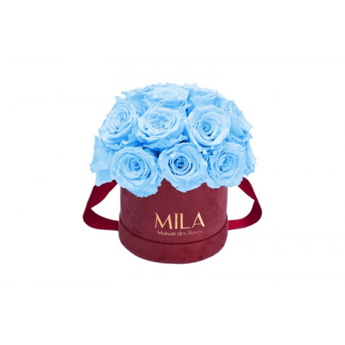 Mila Classique Small Dome Burgundy - Baby blue