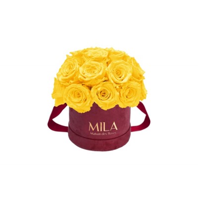 Produit Mila-Roses-01641 Mila Classique Small Dome Burgundy - Yellow Sunshine