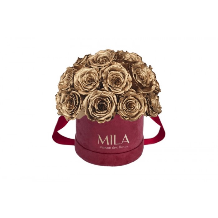 Mila Classique Small Dome Burgundy - Metallic Gold