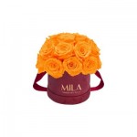  Mila-Roses-01646 Mila Classique Small Dome Burgundy - Orange Bloom