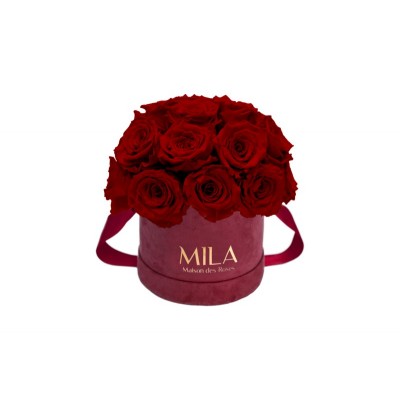 Produit Mila-Roses-01647 Mila Classique Small Dome Burgundy - Rubis Rouge