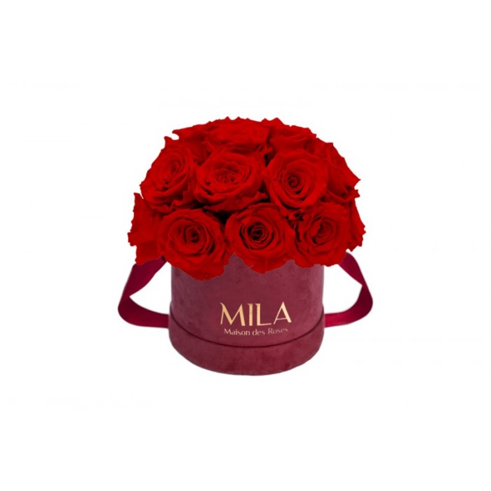 Mila Classique Small Dome Burgundy - Rouge Amour