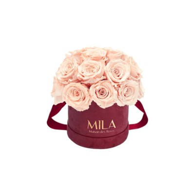 Produit Mila-Roses-01649 Mila Classique Small Dome Burgundy - Pure Peach