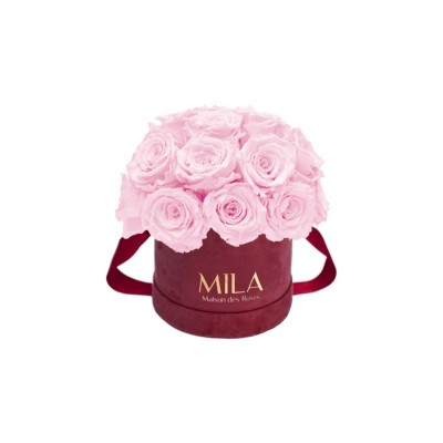 Produit Mila-Roses-01650 Mila Classique Small Dome Burgundy - Pink Blush