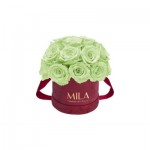  Mila-Roses-01655 Mila Classique Small Dome Burgundy - Mint