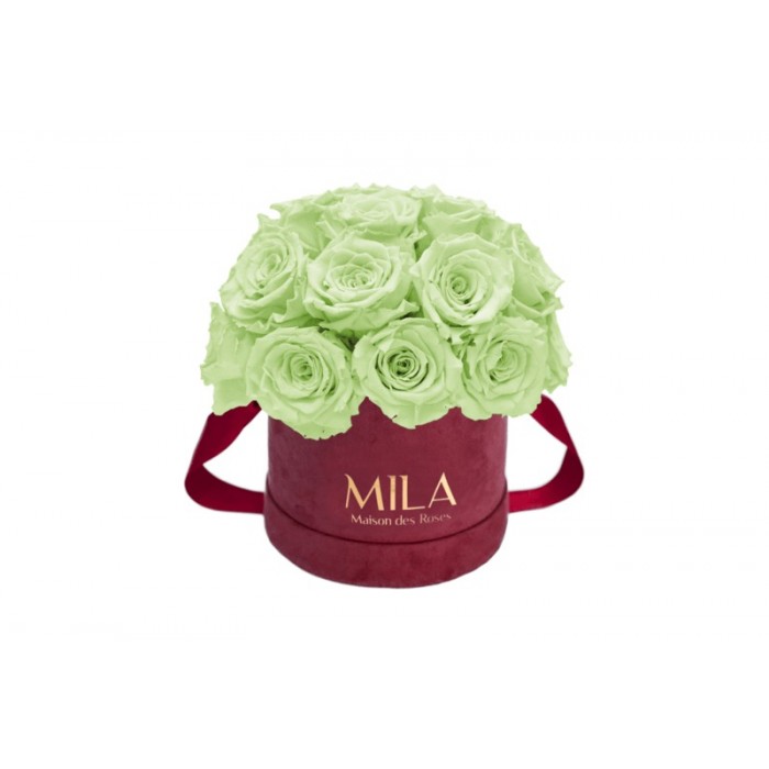 Mila Classique Small Dome Burgundy - Mint