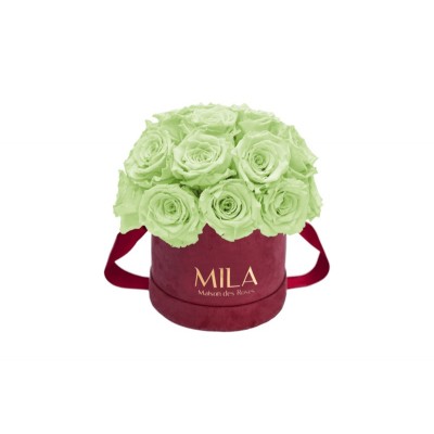 Produit Mila-Roses-01655 Mila Classique Small Dome Burgundy - Mint