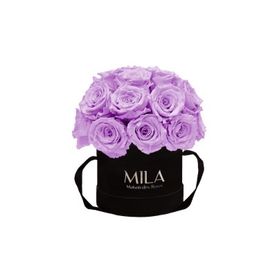 Produit Mila-Roses-01664 Mila Classique Small Dome Noir Classique - Lavender