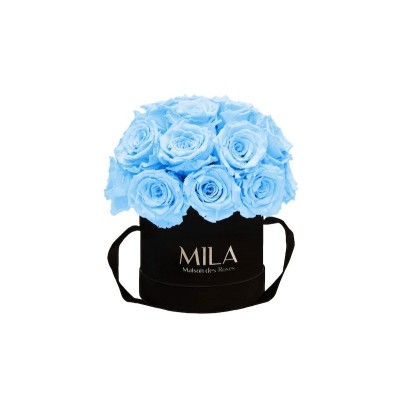 Produit Mila-Roses-01667 Mila Classique Small Dome Noir Classique - Baby blue