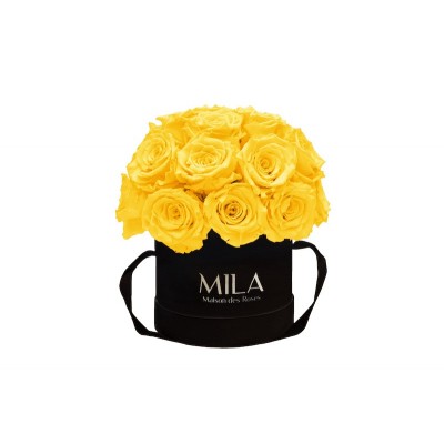 Produit Mila-Roses-01668 Mila Classique Small Dome Noir Classique - Yellow Sunshine