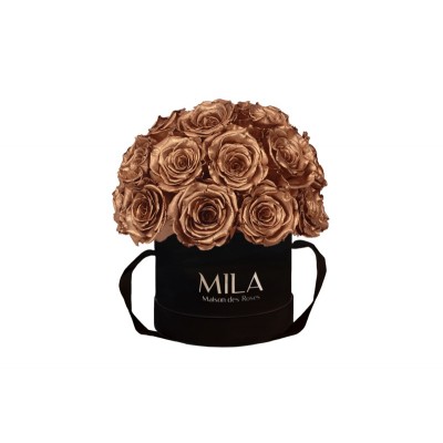 Produit Mila-Roses-01669 Mila Classique Small Dome Noir Classique - Metallic Copper