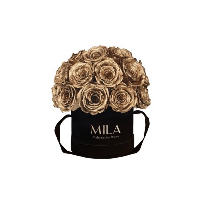 Produit Mila-Roses-01671 Mila Classique Small Dome Noir Classique - Metallic Gold