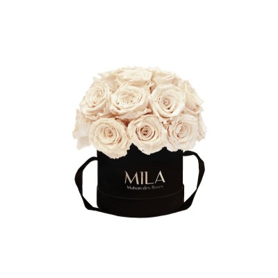 Produit Mila-Roses-01672 Mila Classique Small Dome Noir Classique - Champagne