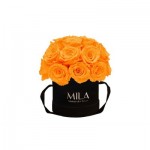  Mila-Roses-01673 Mila Classique Small Dome Noir Classique - Orange Bloom