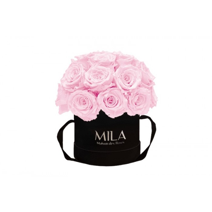 Mila Classique Small Dome Noir Classique - Pink Blush
