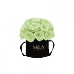  Mila-Roses-01682 Mila Classique Small Dome Noir Classique - Mint