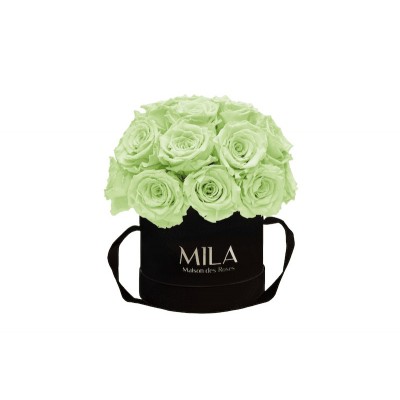 Produit Mila-Roses-01682 Mila Classique Small Dome Noir Classique - Mint