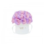  Mila-Roses-01684 Mila Classique Small Dome Blanc Classique - Vintage rose