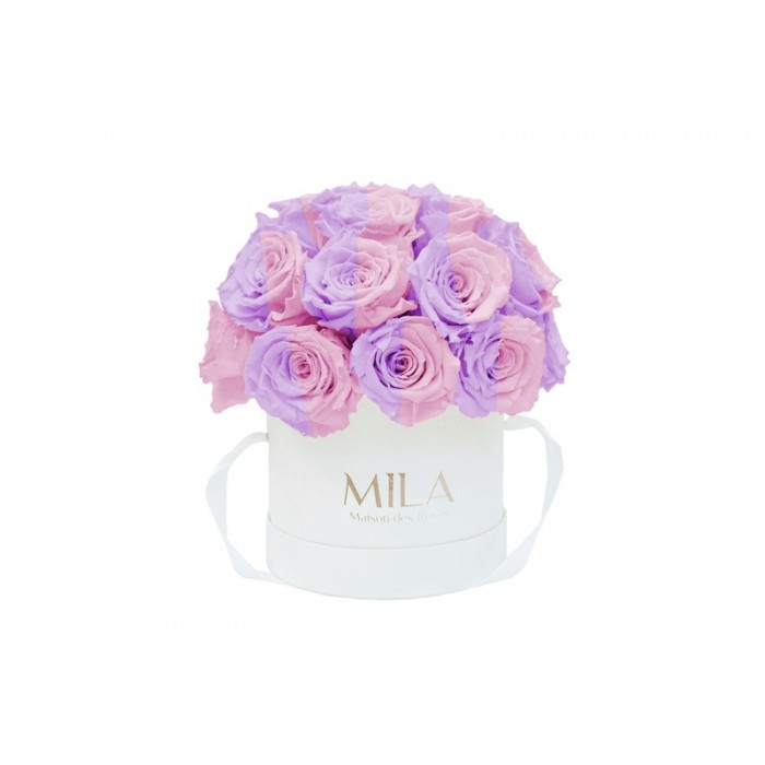 Mila Classique Small Dome Blanc Classique - Vintage rose