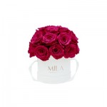  Mila-Roses-01687 Mila Classique Small Dome Blanc Classique - Fuchsia