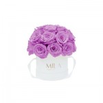  Mila-Roses-01690 Mila Classique Small Dome Blanc Classique - Mauve