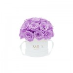  Mila-Roses-01691 Mila Classique Small Dome Blanc Classique - Lavender