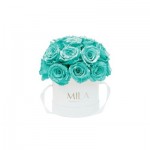  Mila-Roses-01693 Mila Classique Small Dome Blanc Classique - Aquamarine