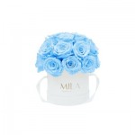  Mila-Roses-01694 Mila Classique Small Dome Blanc Classique - Baby blue