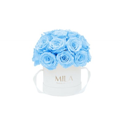 Produit Mila-Roses-01694 Mila Classique Small Dome Blanc Classique - Baby blue