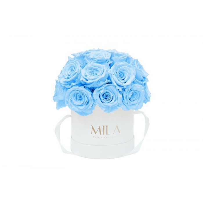 Mila Classique Small Dome Blanc Classique - Baby blue