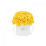  Mila-Roses-01695 Mila Classique Small Dome Blanc Classique - Yellow Sunshine