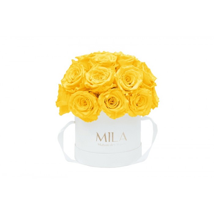 Mila Classique Small Dome Blanc Classique - Yellow Sunshine