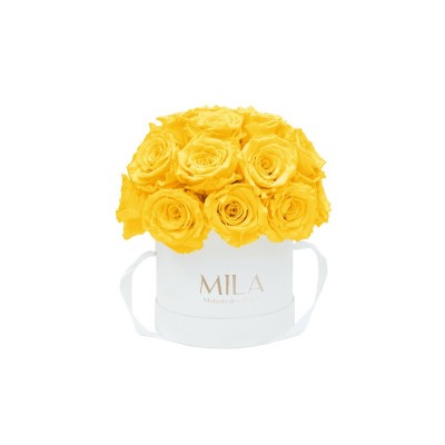 Produit Mila-Roses-01695 Mila Classique Small Dome Blanc Classique - Yellow Sunshine