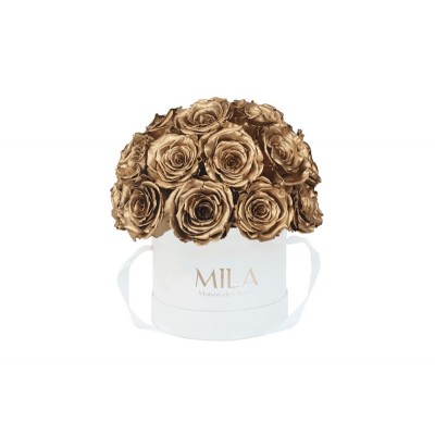 Produit Mila-Roses-01698 Mila Classique Small Dome Blanc Classique - Metallic Gold