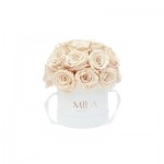  Mila-Roses-01699 Mila Classique Small Dome Blanc Classique - Champagne