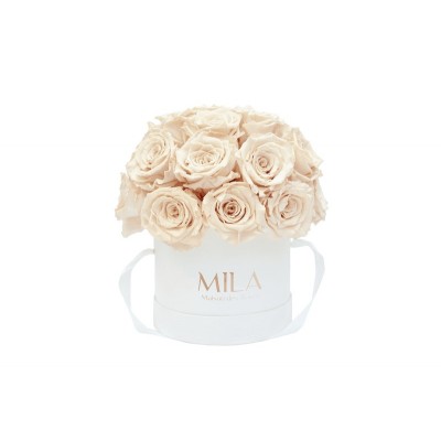 Produit Mila-Roses-01699 Mila Classique Small Dome Blanc Classique - Champagne