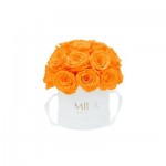  Mila-Roses-01700 Mila Classique Small Dome Blanc Classique - Orange Bloom
