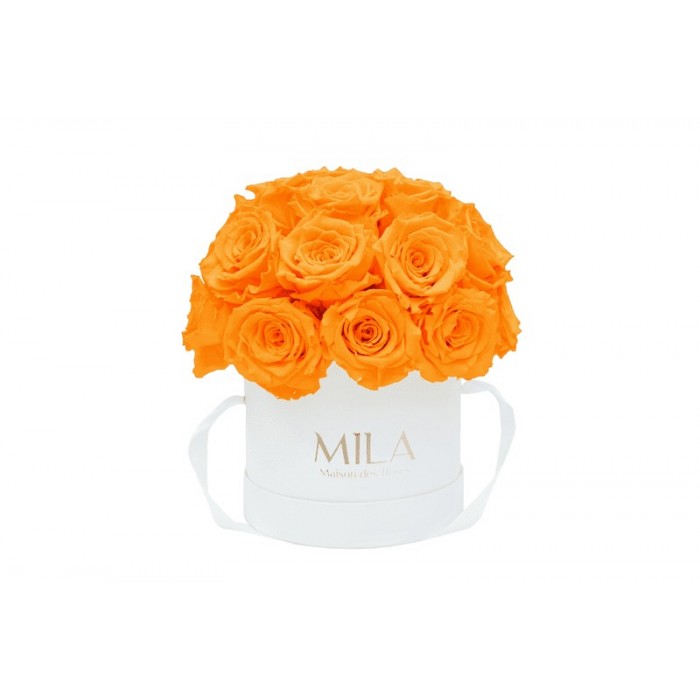 Mila Classique Small Dome Blanc Classique - Orange Bloom