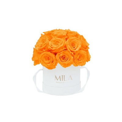 Produit Mila-Roses-01700 Mila Classique Small Dome Blanc Classique - Orange Bloom