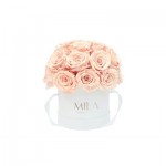  Mila-Roses-01703 Mila Classique Small Dome Blanc Classique - Pure Peach