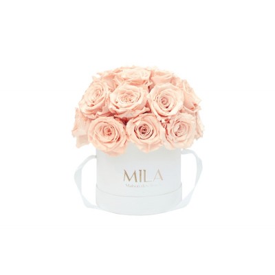 Produit Mila-Roses-01703 Mila Classique Small Dome Blanc Classique - Pure Peach