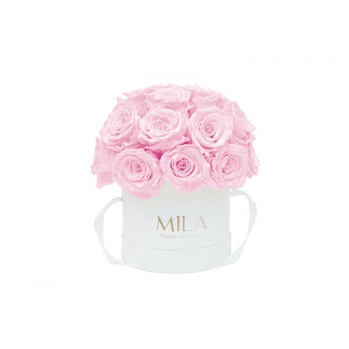 Mila Classique Small Dome Blanc Classique - Pink Blush
