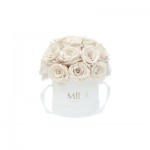  Mila-Roses-01707 Mila Classique Small Dome Blanc Classique - White Cream