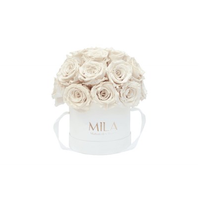 Produit Mila-Roses-01707 Mila Classique Small Dome Blanc Classique - White Cream