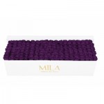 Mila-Roses-01715 Mila Classique Royale Blanc Classique - Velvet purple